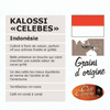 *KALOSSI CELEBES* (Indonésie)