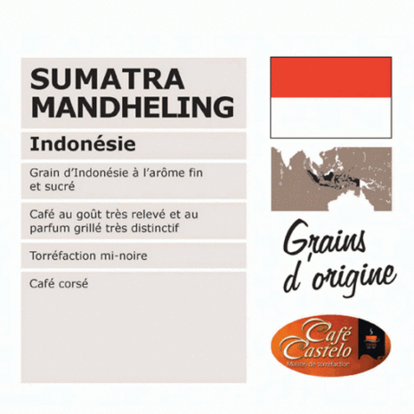 *SUMATRA MANDHELING* (Indonésie)
