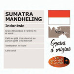 *SUMATRA MANDHELING* (Indonésie)