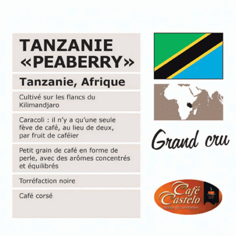 *TANZANIE PEABERRY* (Tanzanie-Afrique)