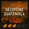 *GUATEMALA DÉCAFÉINÉ* (Guatemala)