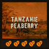 *TANZANIE PEABERRY* (Tanzanie-Afrique)